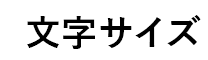 文字サイズ